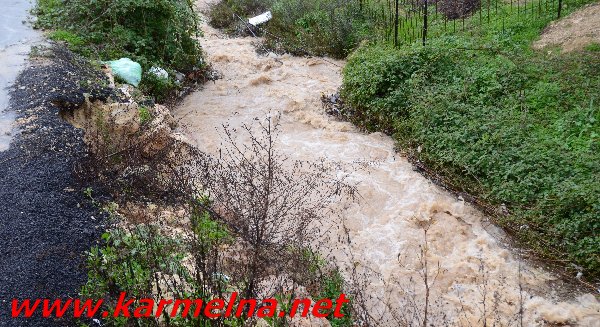 גשמי ברכה בכרמל :סרטון ותמונות